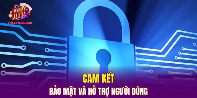 Nền tảng cam kết luôn bảo mật và hỗ trợ người dùng 
